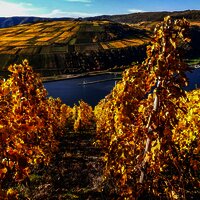 20201101_144604000_iOS