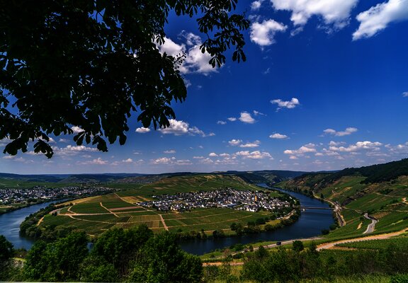 Moselschleife mit Blick auf Trittenheim