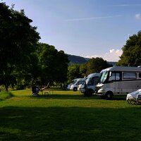 Moselstellplatz Wintrich_Stellplätze