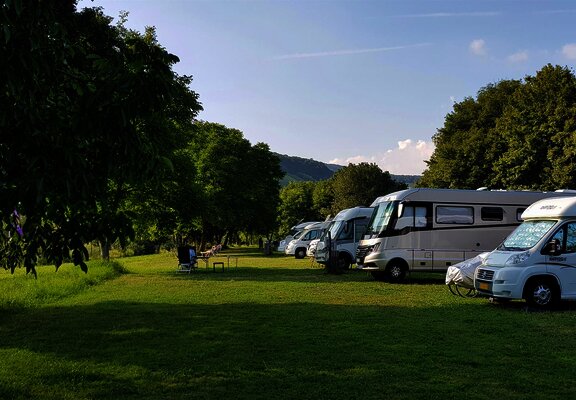 Moselstellplatz Wintrich_Stellplätze