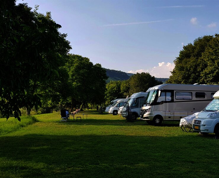 Moselstellplatz Wintrich_Stellplätze