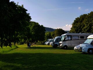 Moselstellplatz Wintrich_Stellplätze