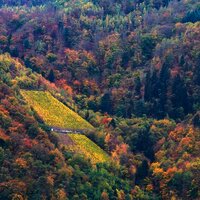 Herbstliches Ambiente im Moselurlaub