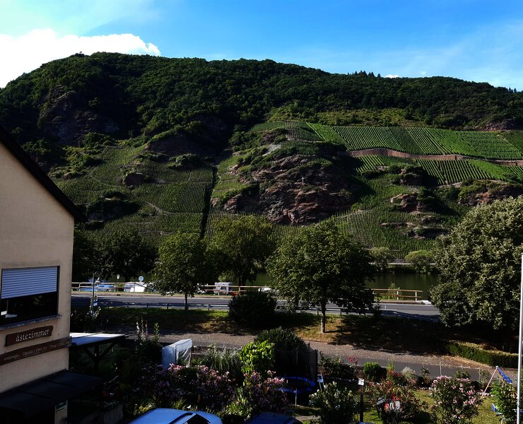 Wein- und Gästehaus Kaufmann-Schneider Ausblick