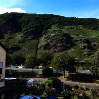 Wein- und Gästehaus Kaufmann-Schneider Ausblick