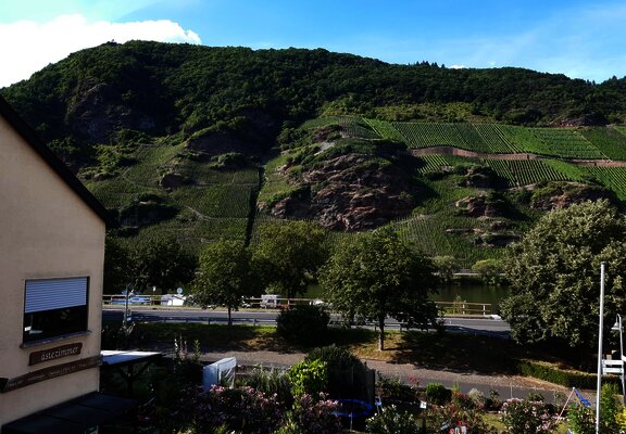 Wein- und Gästehaus Kaufmann-Schneider Ausblick