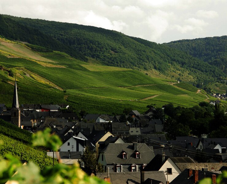 Graach an der Mosel