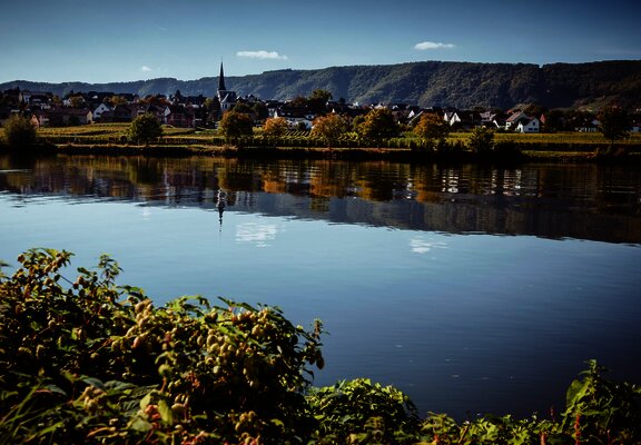 Piesport an der Mosel