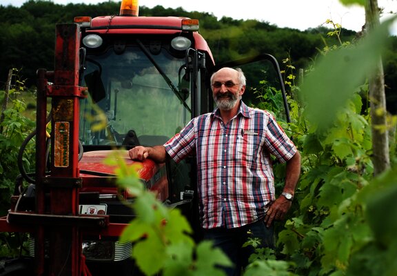 Manfred Bohn arbeitet in seinem Weinberg