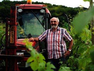 Manfred Bohn arbeitet in seinem Weinberg
