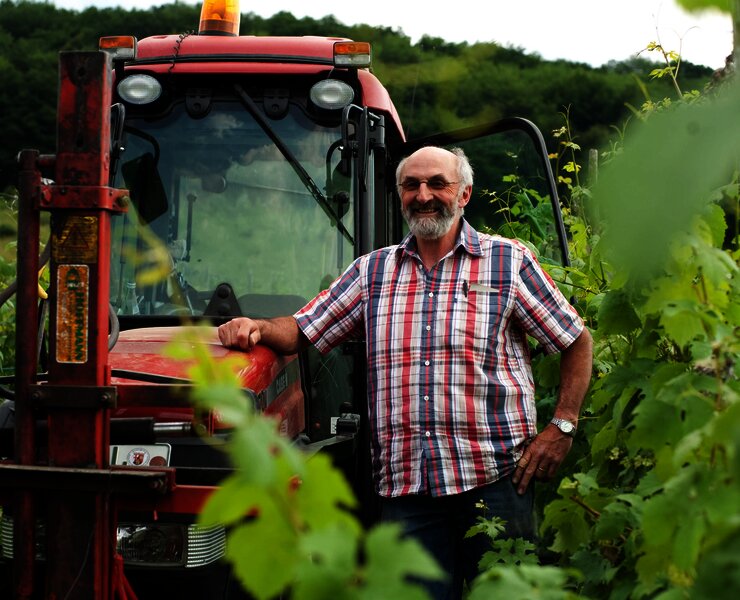 Manfred Bohn arbeitet in seinem Weinberg
