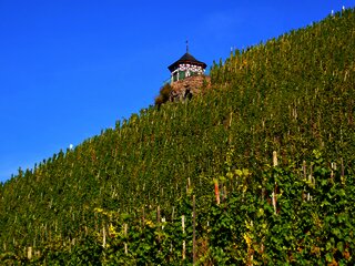 Geführte Frühlingswanderung