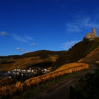 Blick auf Bernkastel und die Burg beim Abstieg