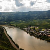 Die Mosel bei Mehring
