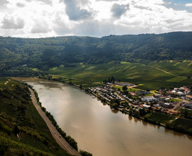 Die Mosel bei Mehring