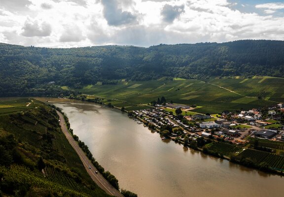 Die Mosel bei Mehring