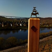 Erden und die Hochmoselbrücke vom Klettersteig