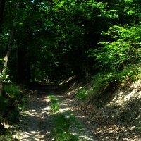 Schattenspendende Passagen inklusive