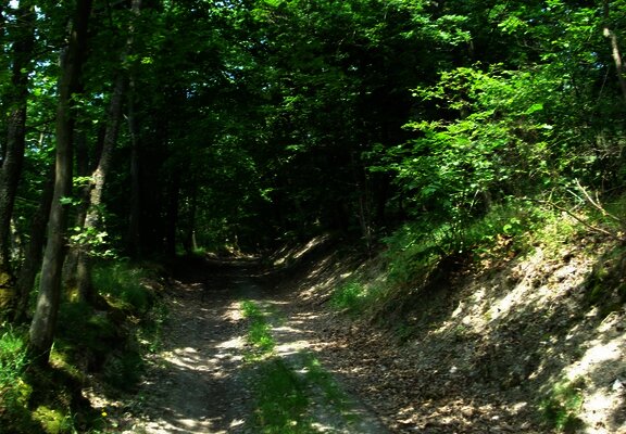 Schattenspendende Passagen inklusive