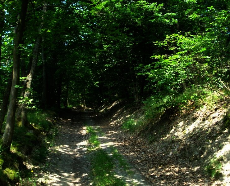 Schattenspendende Passagen inklusive