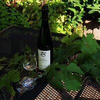 IMG_2014