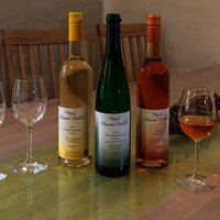 Gästehasu Hammes-Diedrich_Wein