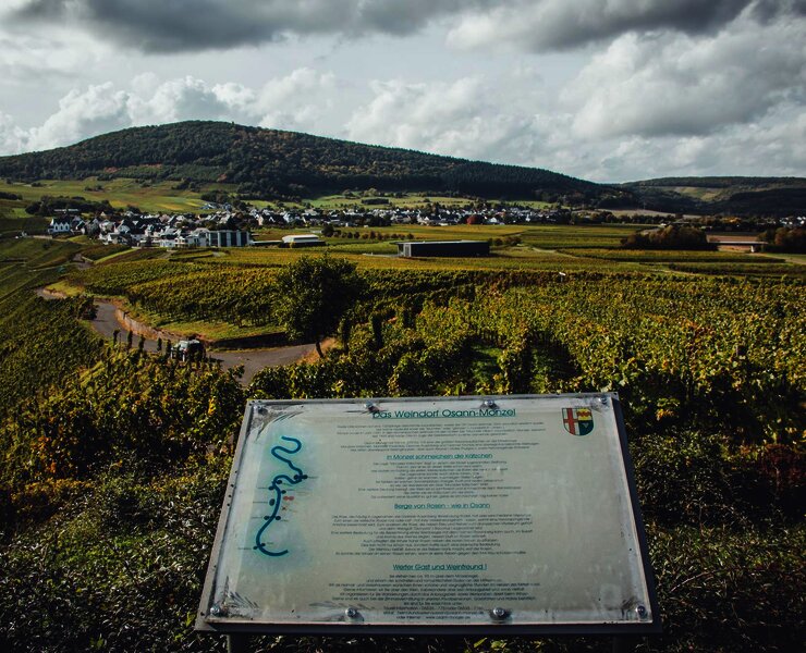 Weinberge in Osann-Monzel