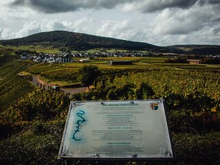 Weinberge in Osann-Monzel