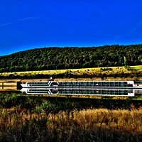 Die Mosel bei Zeltingen-Rachtig