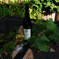 Weinflasche Weingut Ingo Später