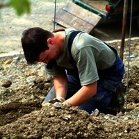 Pflanzung eines neuen Weinbergs im Weingut Genetsc