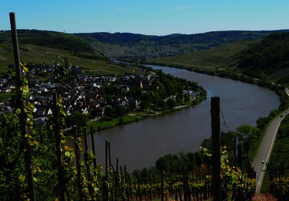 Aussicht auf Neumagen-Dhron