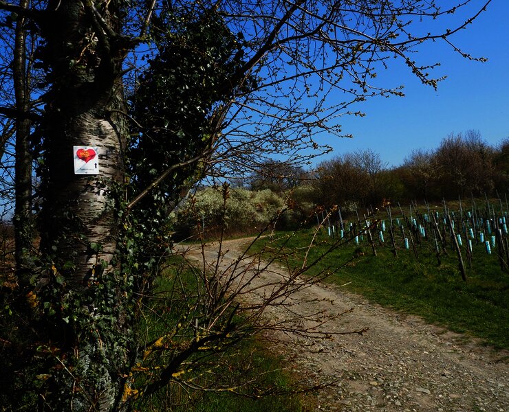 Beschilderung entlang der Strecke