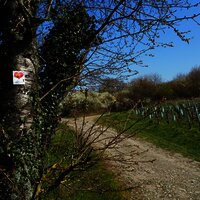 Beschilderung entlang der Strecke