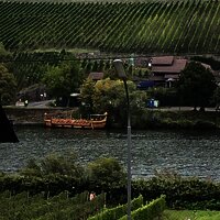 Aussicht auf die Mosel