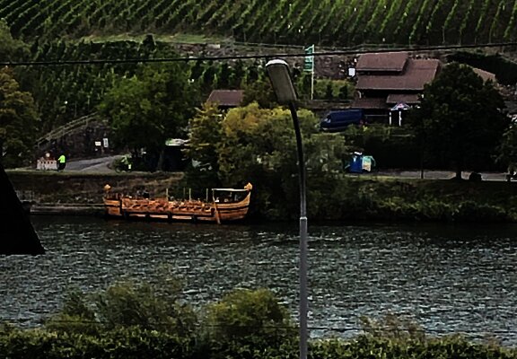 Aussicht auf die Mosel