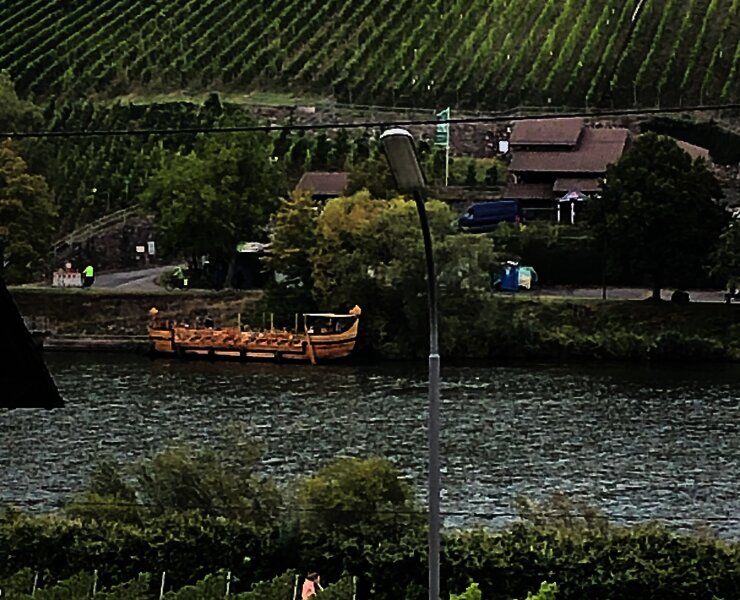 Aussicht auf die Mosel