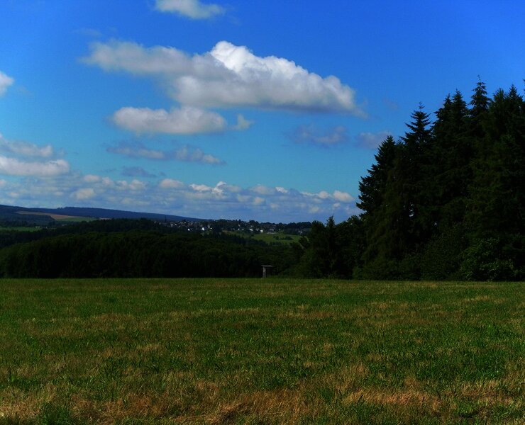 Hunsrück-Weitblick am "Bernkasteler Bärensteig"