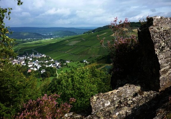 Felsen mit Blick auf Veldenz