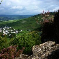 Felsen mit Blick auf Veldenz