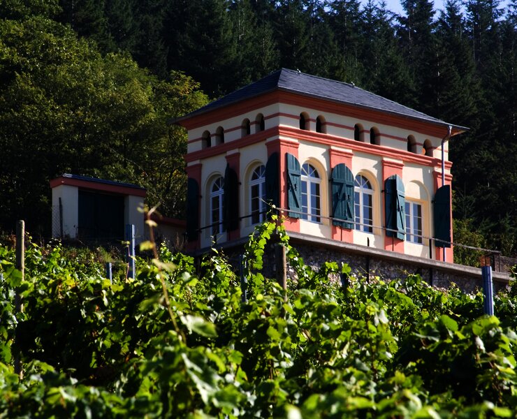 Außenansicht des Elisenhäuschens in den Weinbergen