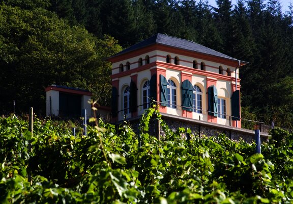 Außenansicht des Elisenhäuschens in den Weinbergen