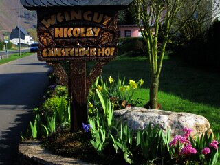 Weingut Nicolay