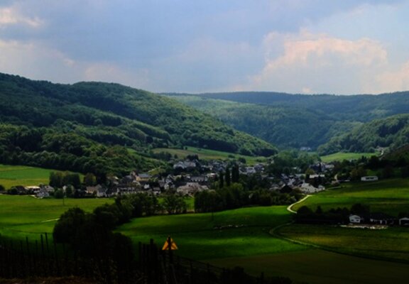 Burgen an der Mittelmosel