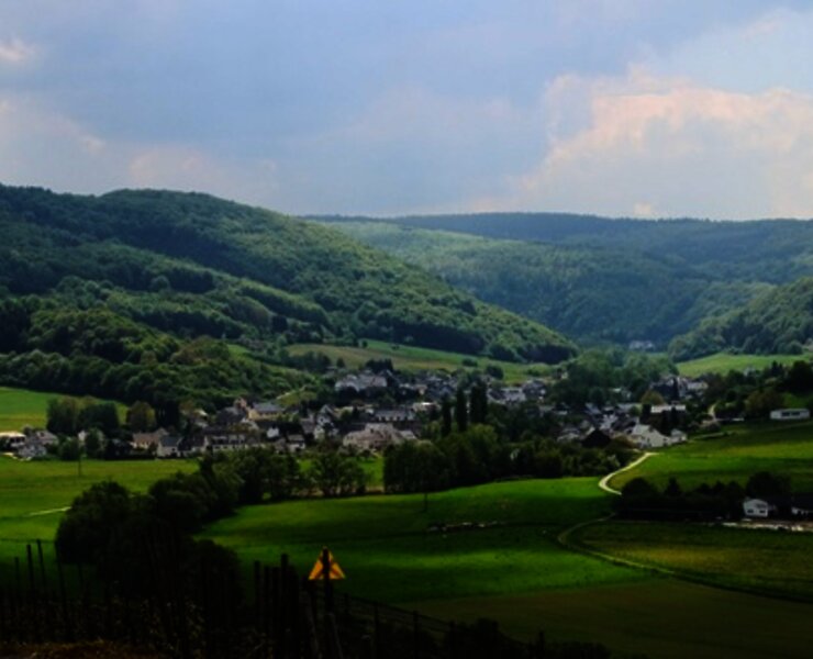 Burgen an der Mittelmosel