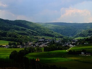 Burgen an der Mittelmosel