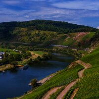 Blick auf den Weinort Pünderich und das Eisenbahnviadukt