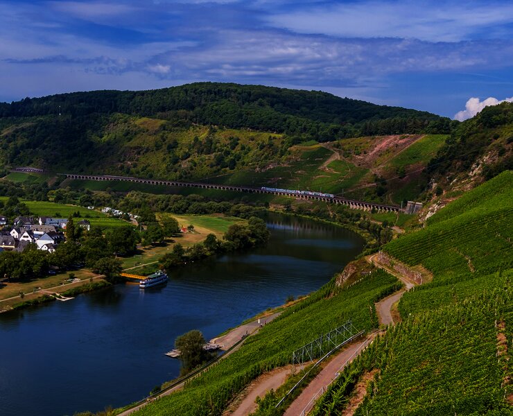 Blick auf den Weinort Pünderich und das Eisenbahnviadukt
