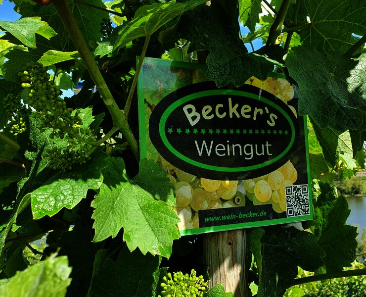 Weinbergsschild