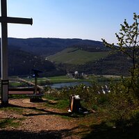 Aussichtspunkt oberhalb von Zeltingen-Rachtig